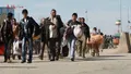 اعلام تاریخ خروج کامل افغان‌ها از ایران
