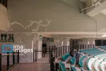 ورزشگاه