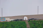 ورزشگاه