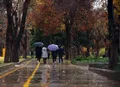 امروز در این ۲۱ استان باران می‌بارد