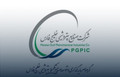 تعیین اولویت‌بندی توزیع برق پتروشیمی‌ها، صرفا با شرکت ملی صنایع پتروشیمی ایران است