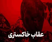 عقاب خاکستری