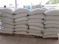 زمان واردات شکر مشخص شد