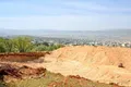 ماجرای قطع درختان پارک جنگلی یاسوج چه بود؟ / واکنش دادستان