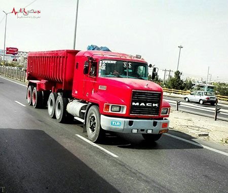  ماک دلفینی
