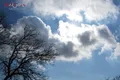 اعلام هواشناسی تهران در ورود موج جدید خنک به تهران