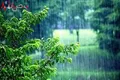 پیش بینی هواشناسی برای هوای استان ها/باران پاییزی دست بردار نیست