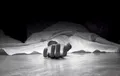 کشف جسد دختر ایرانی در کانادا پس از ۷۷ روز / ماجرا چیست؟