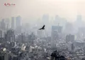 شاخص آلودگی هوا امروز ۸ آذر /تعطیلی مدارس مشهد فردا