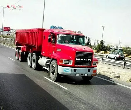  ماک دلفینی