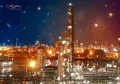صادرات مارون در 3 ماه ابتدایی سال رشد داشته است
