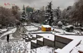 تصاویر زیبا از بارش برف در تهران