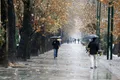 بارش باران تا پنج‌شنبه در تهران