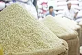 ارز ترجیحی برنج حذف شد / برنج پاکستانی چند؟